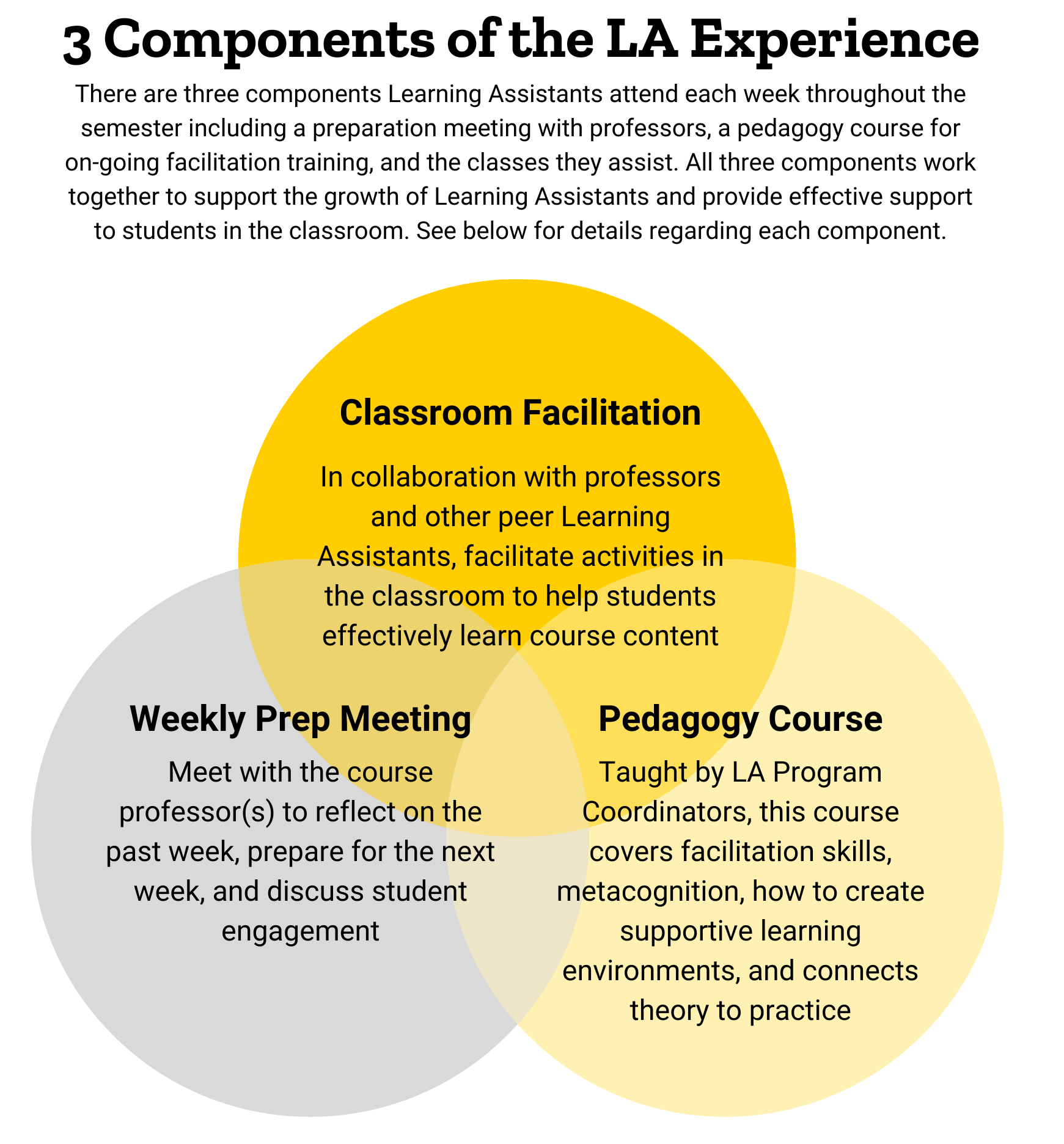 Description of the LA experience and components